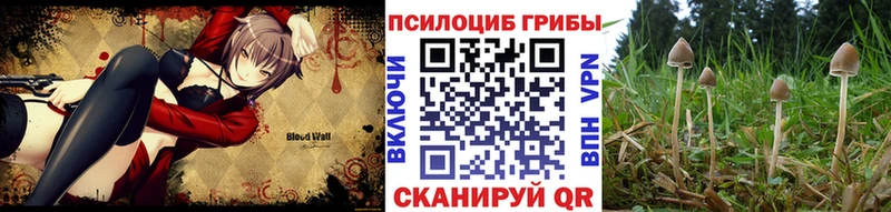 Псилоцибиновые грибы Magic Shrooms  Дыгулыбгей 